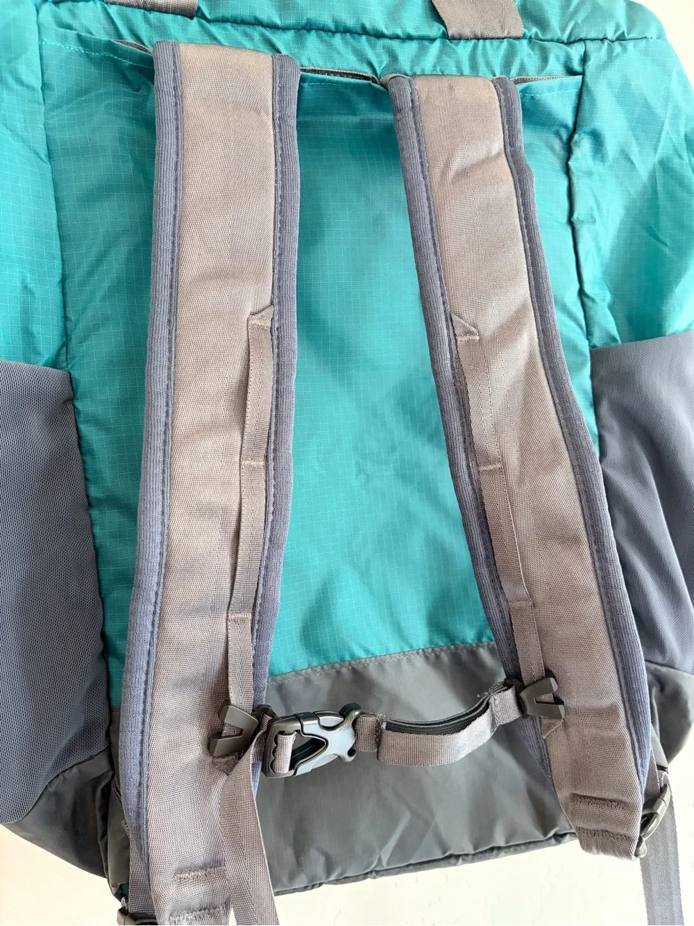 Patagonia packable backpack